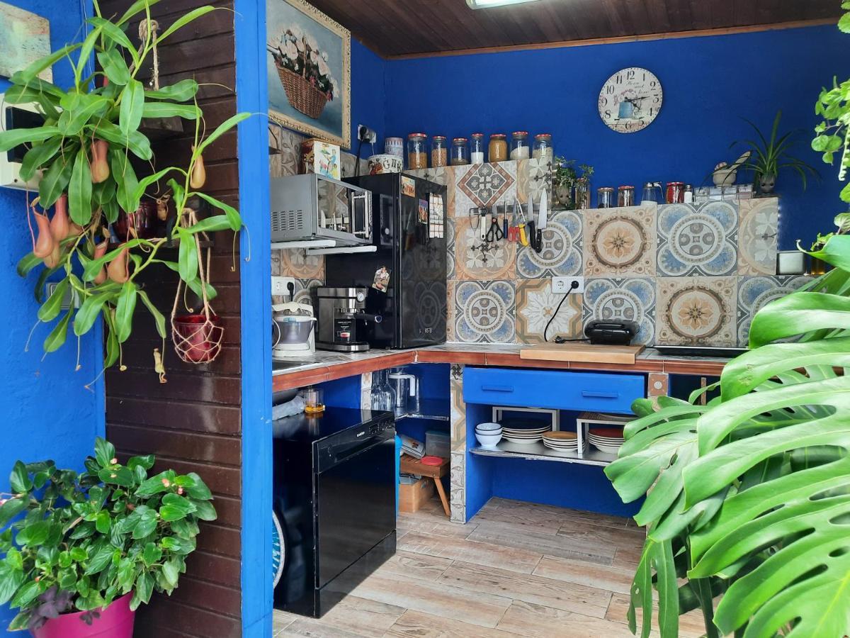 Loft Con Jardin Holiday home *
