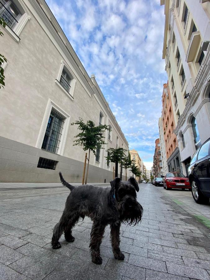 Homestay Sharing La Justicia Madrid