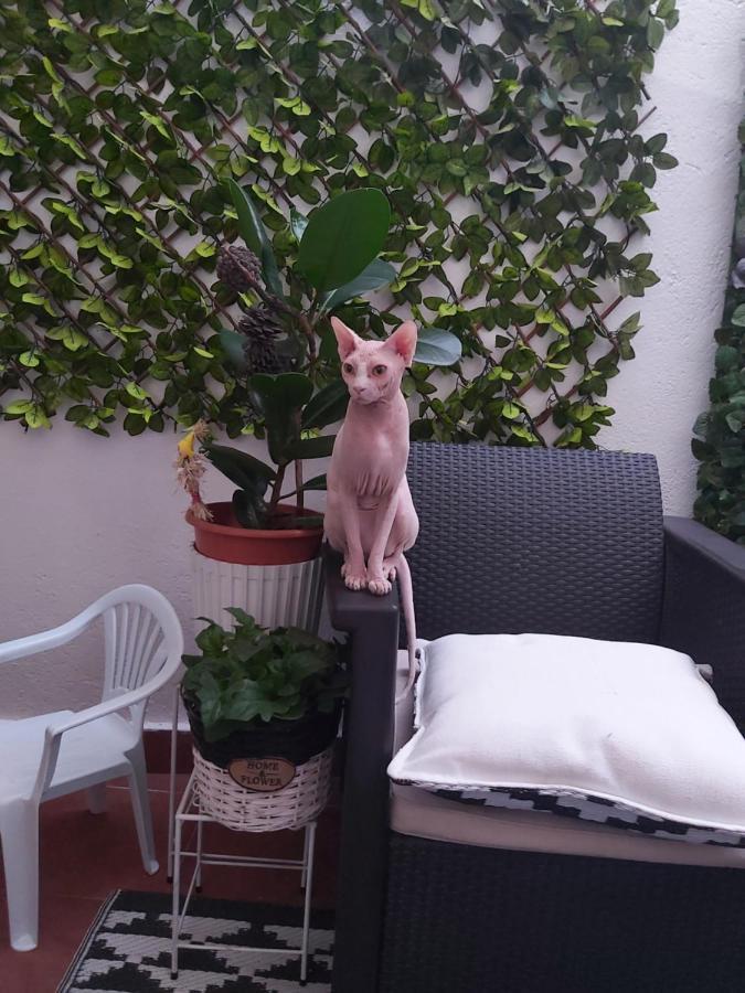 Homestay Casa De Ciss Madrid