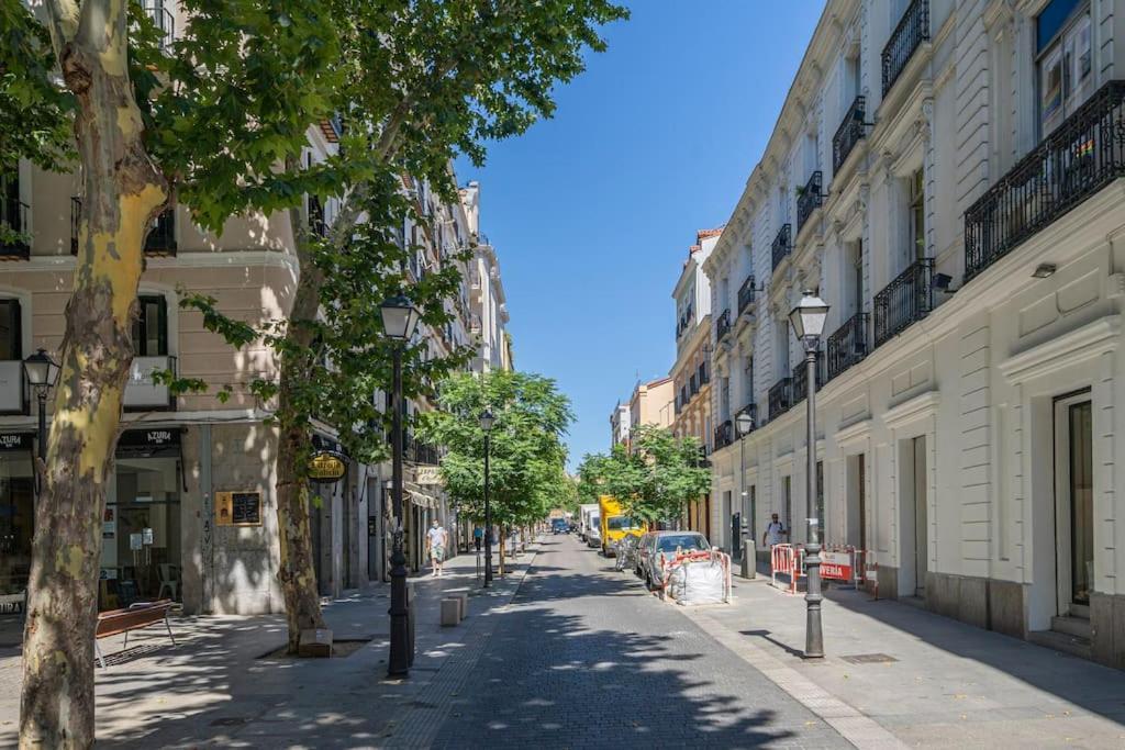 Calm And Bright Apartment, Center La Latina D.alb Madrid