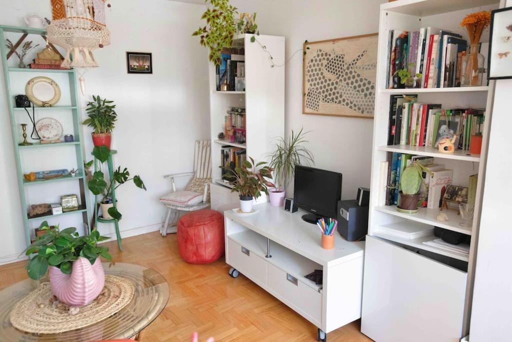 Piso Centrico, Bonito, Acogedor Rodeado De Y Buena Vibra Apartment