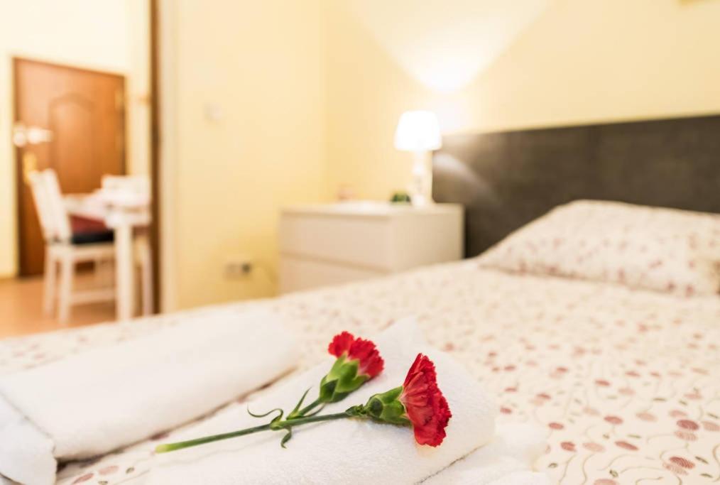 Your Close To Prado Museum Madrid