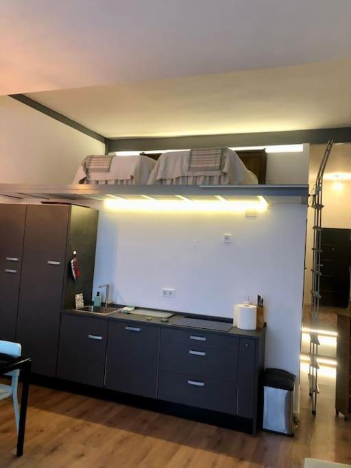 Beautiful Loft With Terrace 6 Pers. Cal Madrid