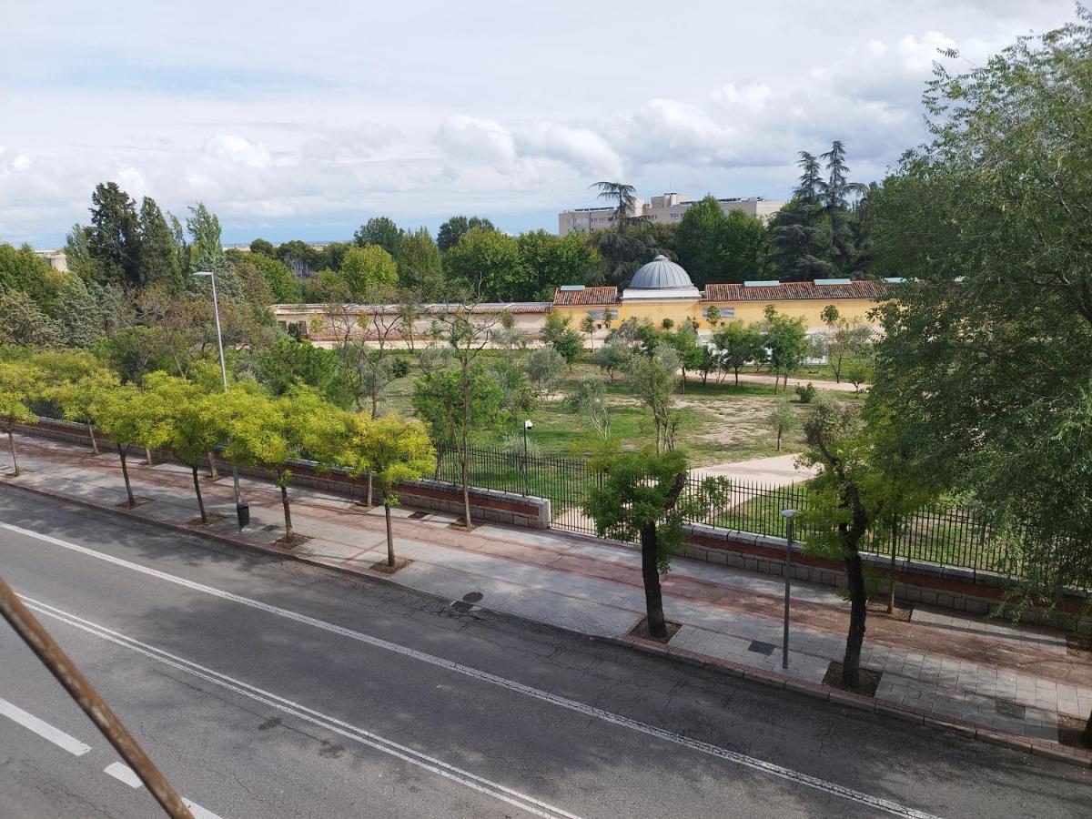 Camping Luminosas En Vista Alegre Madrid