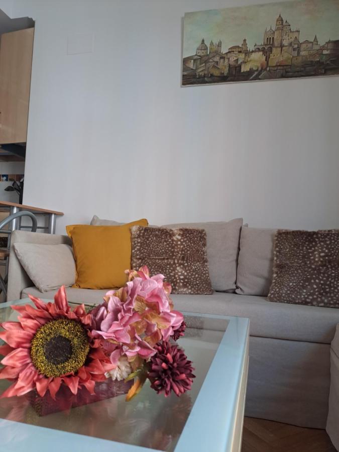 Apartamento Nuevo En El Centro De Apartamento