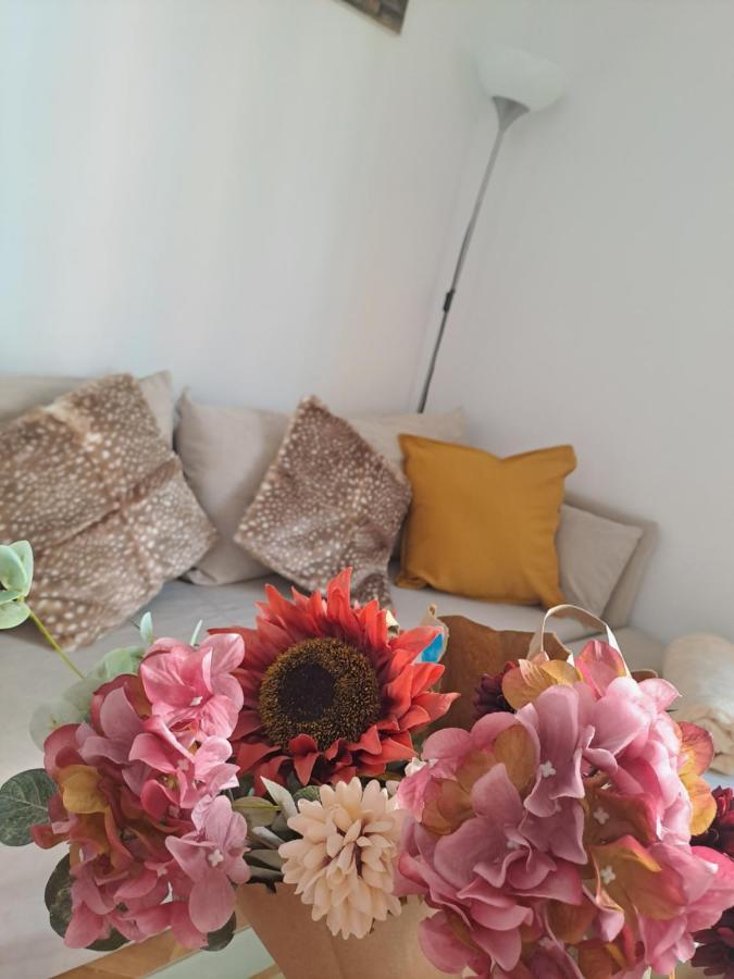 Apartamento Nuevo En El Centro De Apartamento