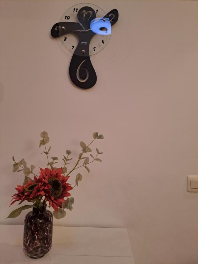 Apartamento Nuevo En El Centro De Apartamento *