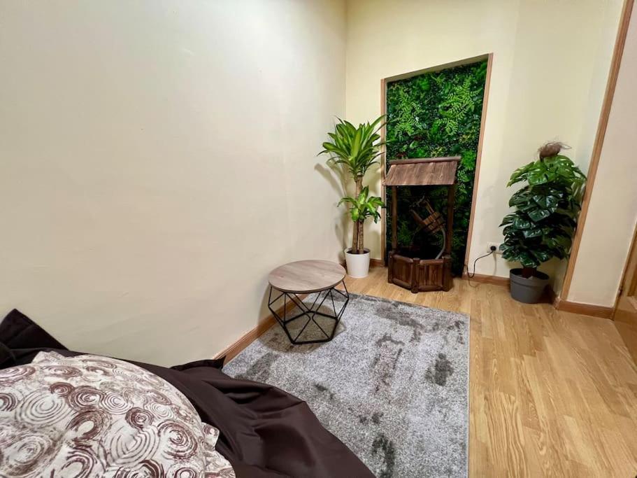 Acogedor Apartamento Centro Apartamento Madrid
