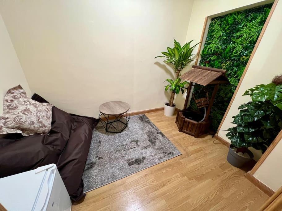Acogedor Apartamento Centro