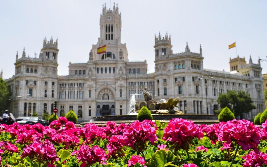 Petit House Center Madrid
