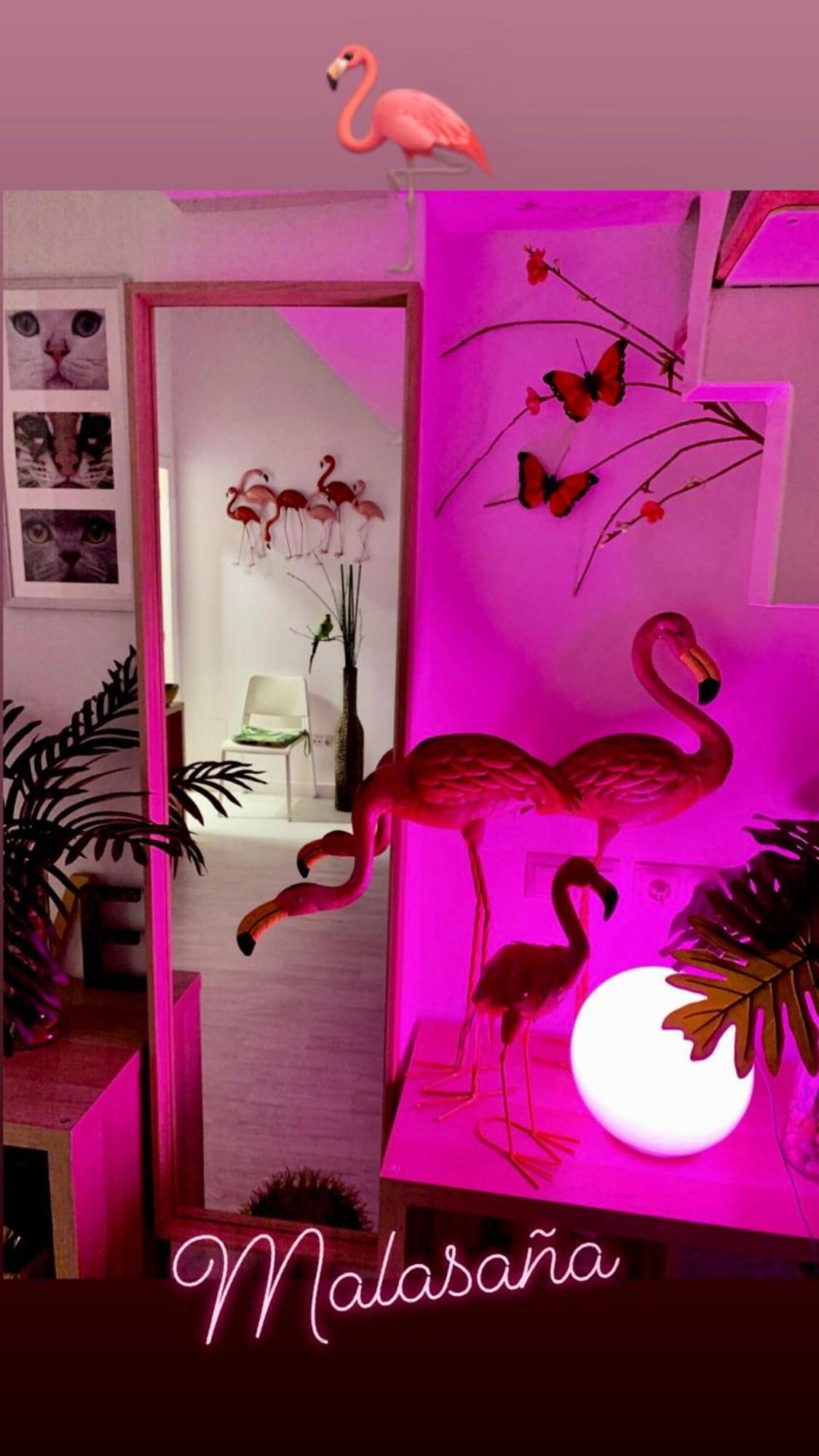 Flamencos, Malasaña Apartamento