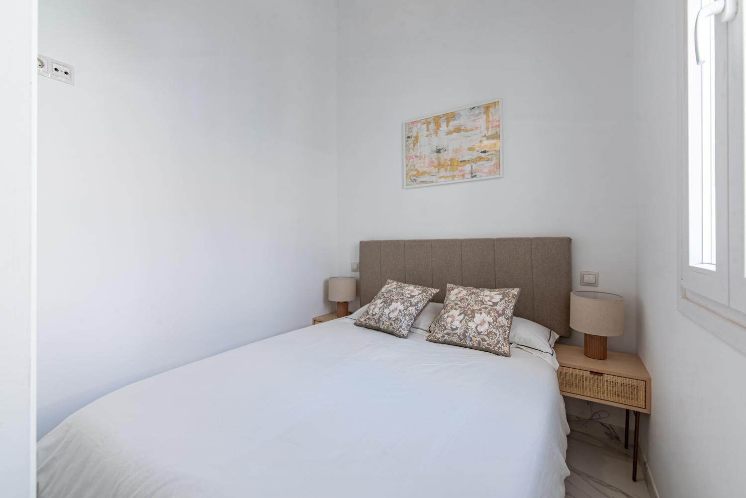 Deluxe. 2br 1bt. Elevator. Madrid