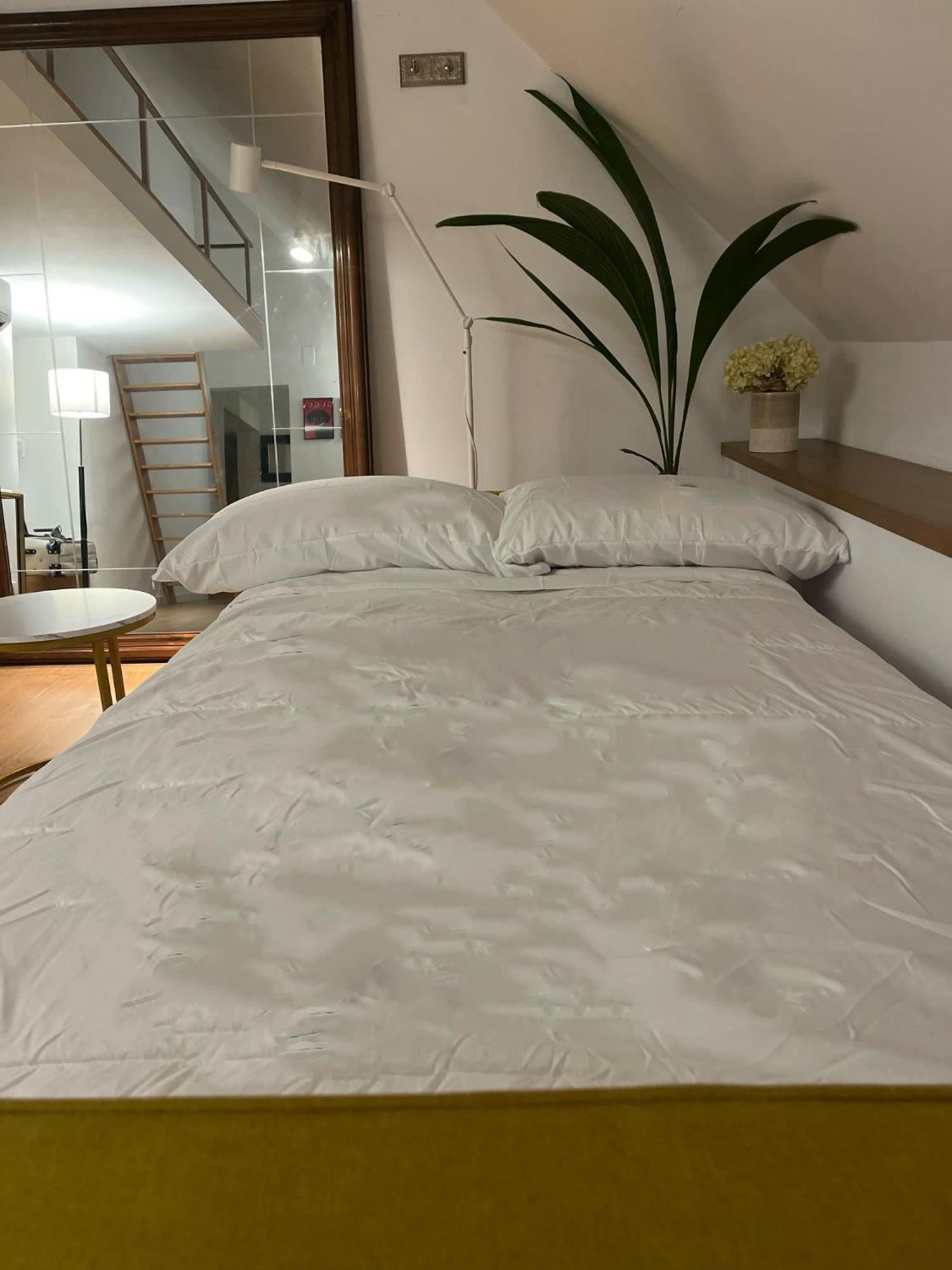 Apartamento 5* Penthouse En Plaza Mayor