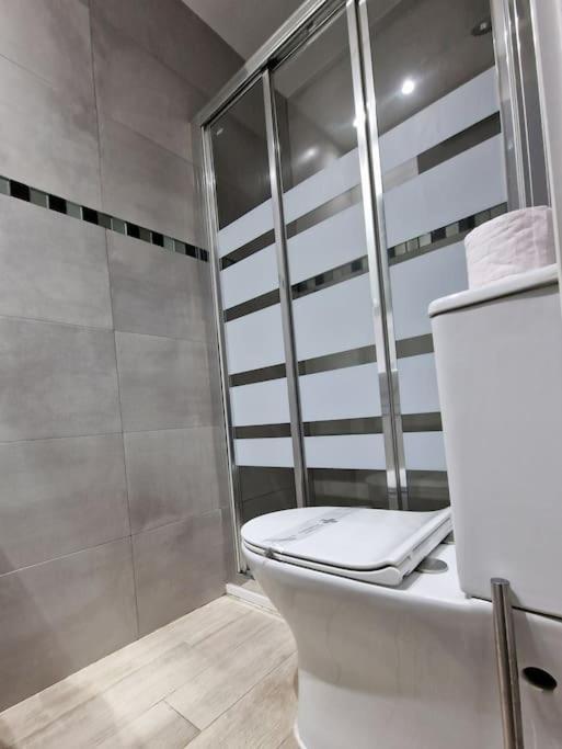 Mediodia Chica Apartamento Tipo Loft En La Latina Apartamento