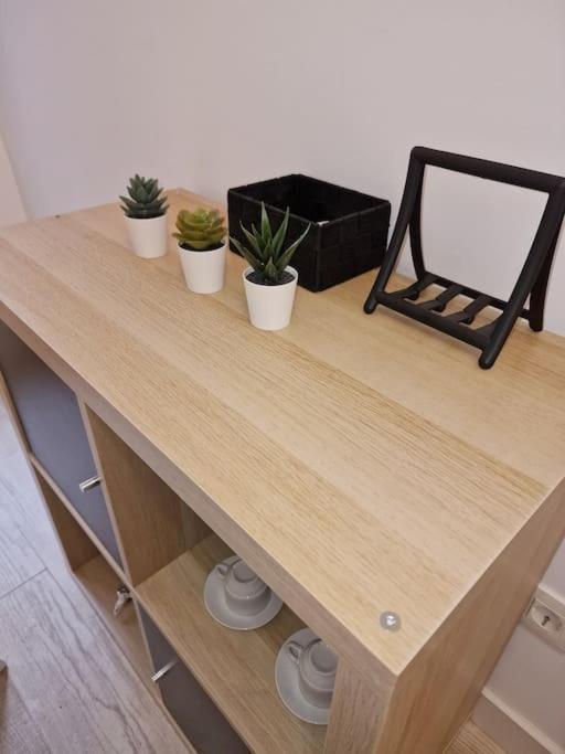 Mediodia Chica Apartamento Tipo Loft En La Latina Apartamento