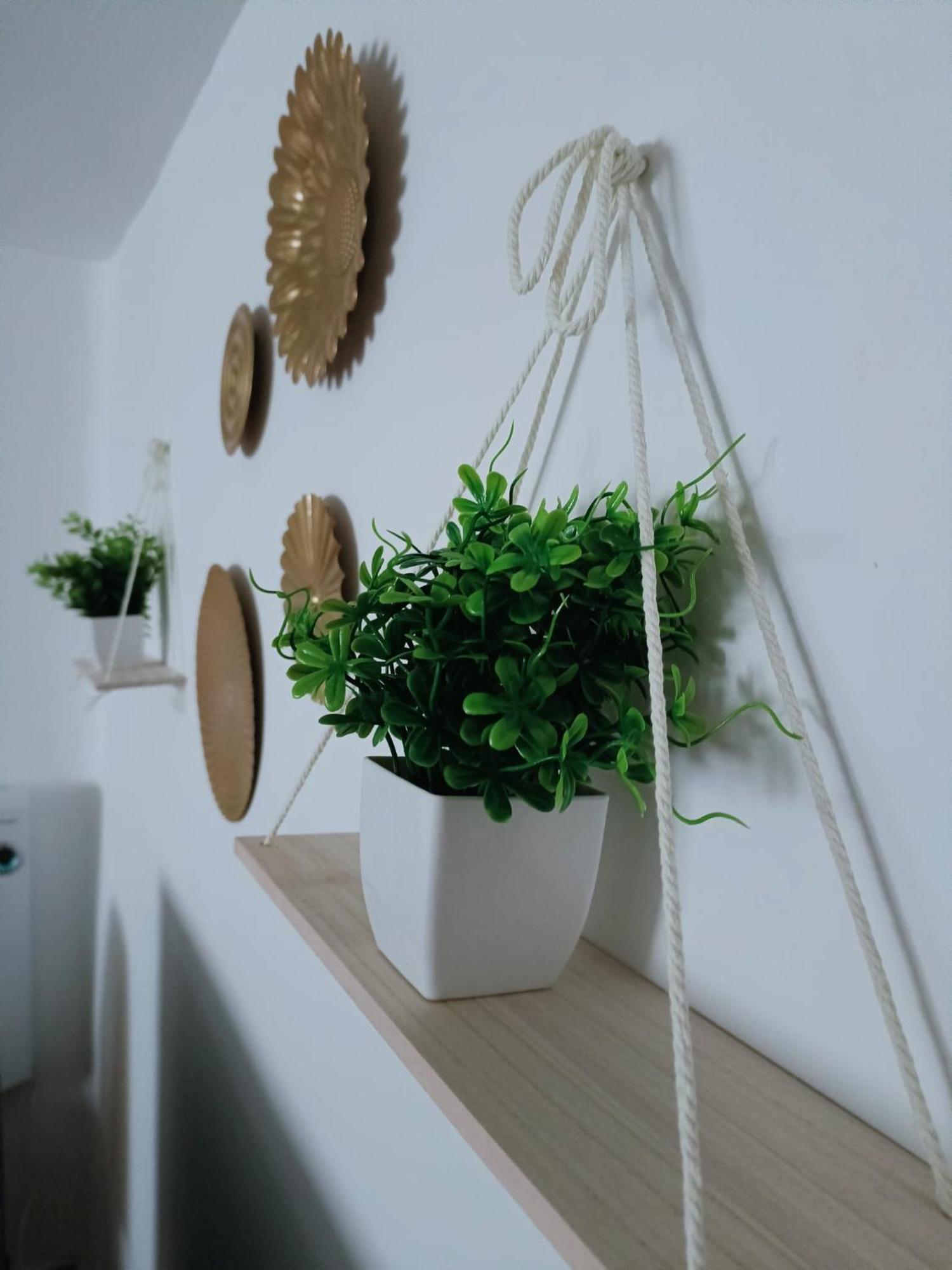 Casa Cobo Exclusivo En Apartamento