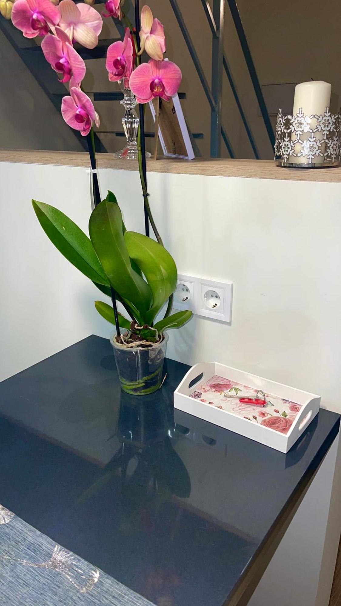 Apartamento Centro Ii Madrid