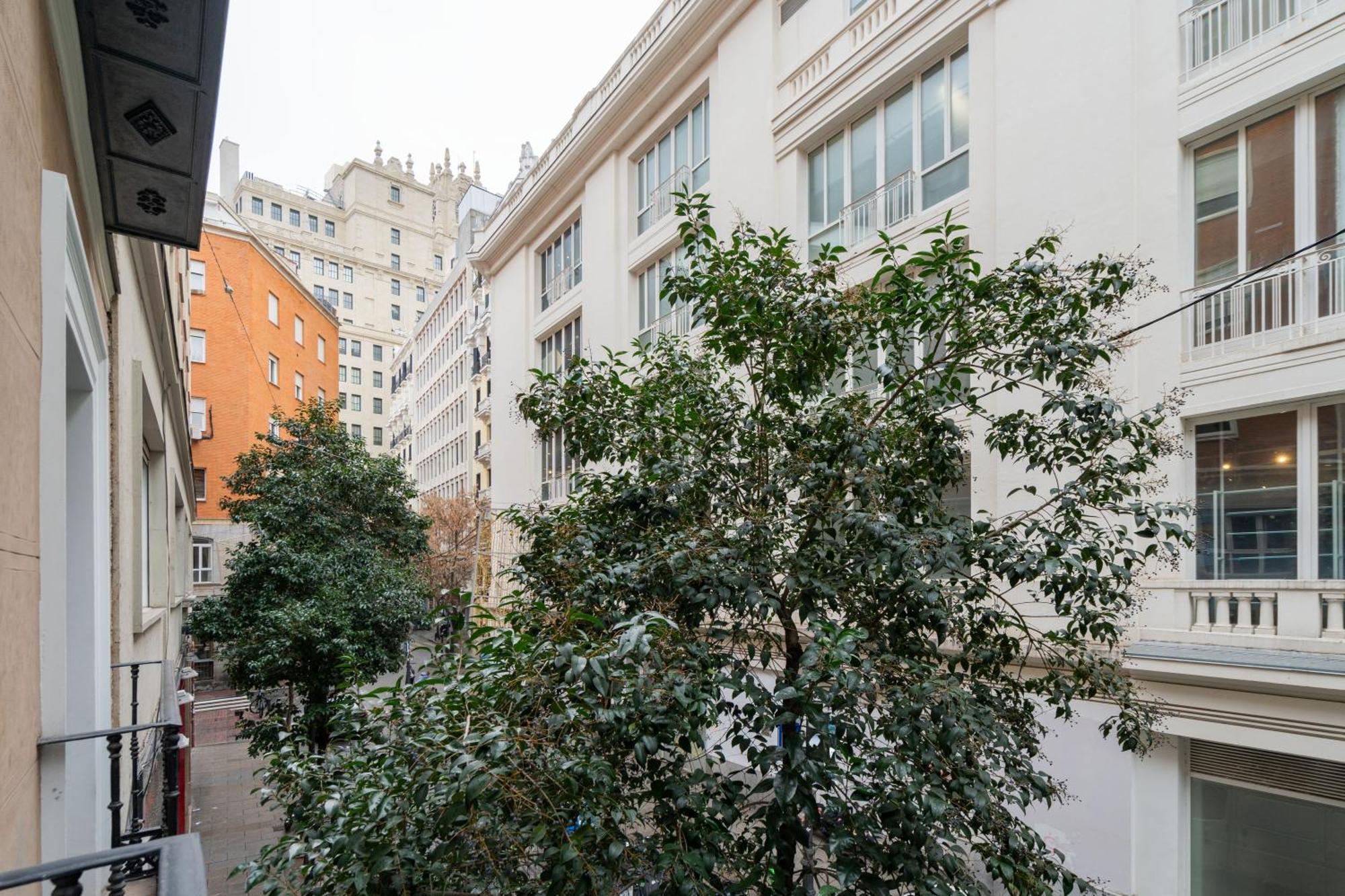 Dobo Homes - D14 Apartamento *