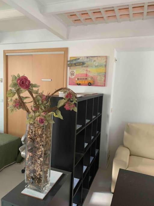 Apartamento Studio-loft Con Terraza Madrid