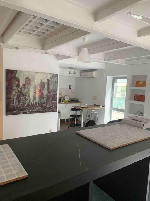 Studio-loft Con Terraza Apartamento *
