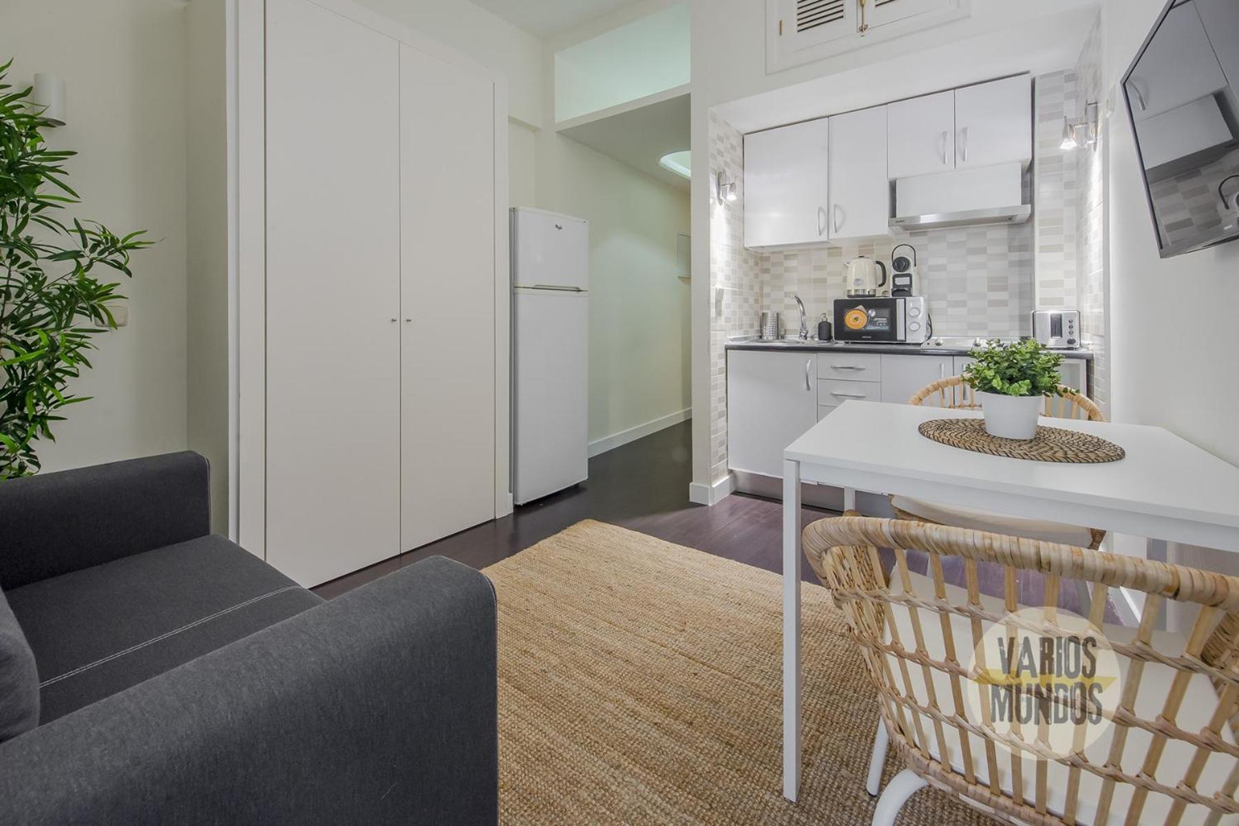 Apartment Nuevo Loft 1hab 3pax En Plena Plaza De Chueca