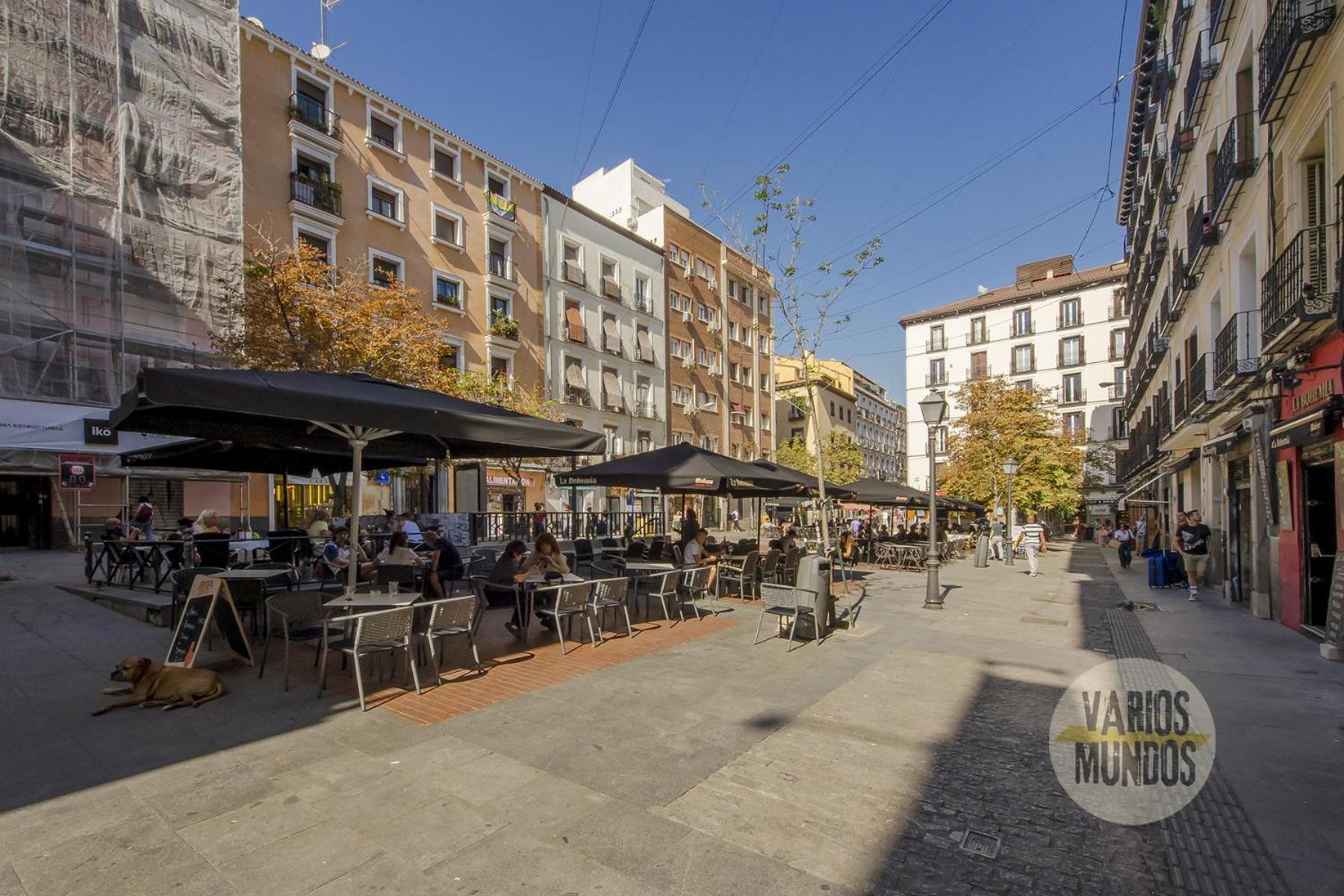 Apartamento Nuevo Atico Loft 1hab 3pax En La Plaza De Chueca *