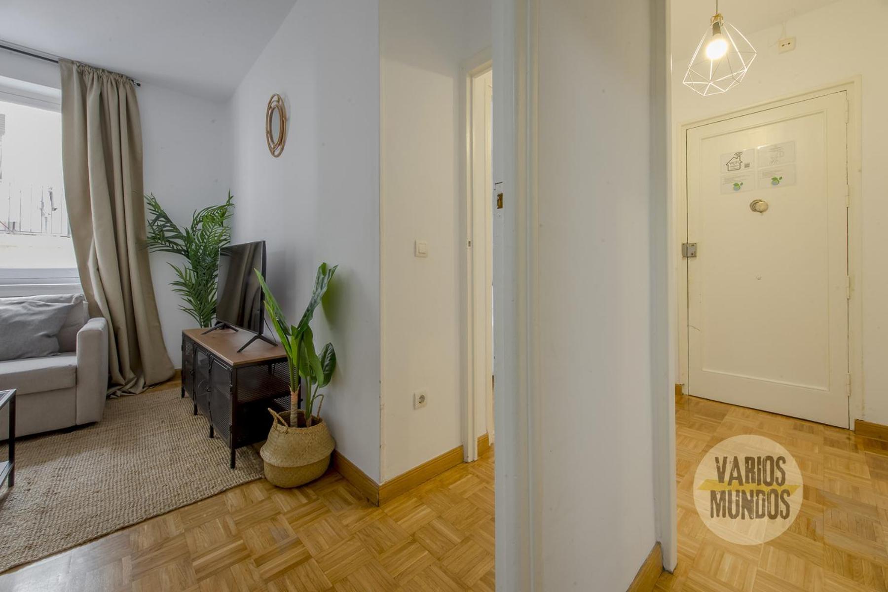 Centrico Apt En La Calle Toledo 77