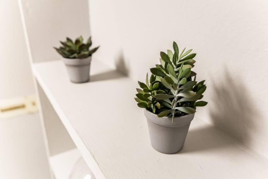 Cozy In The Heart Of Madrid.m31 Apartamento Madrid