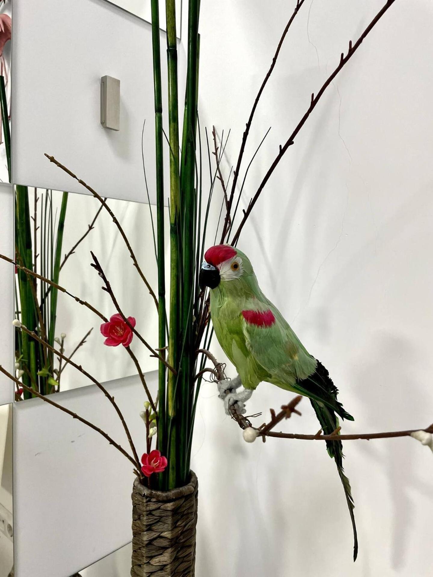 Flamencos, Malasaña Apartamento