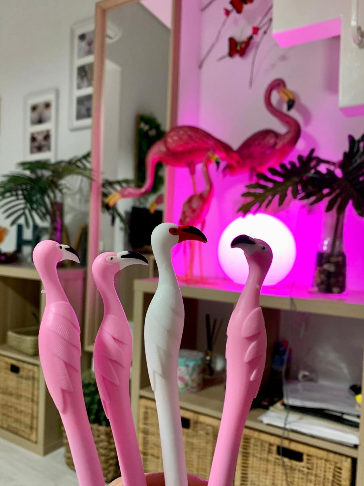 Apartamento Flamencos, Malasaña Madrid