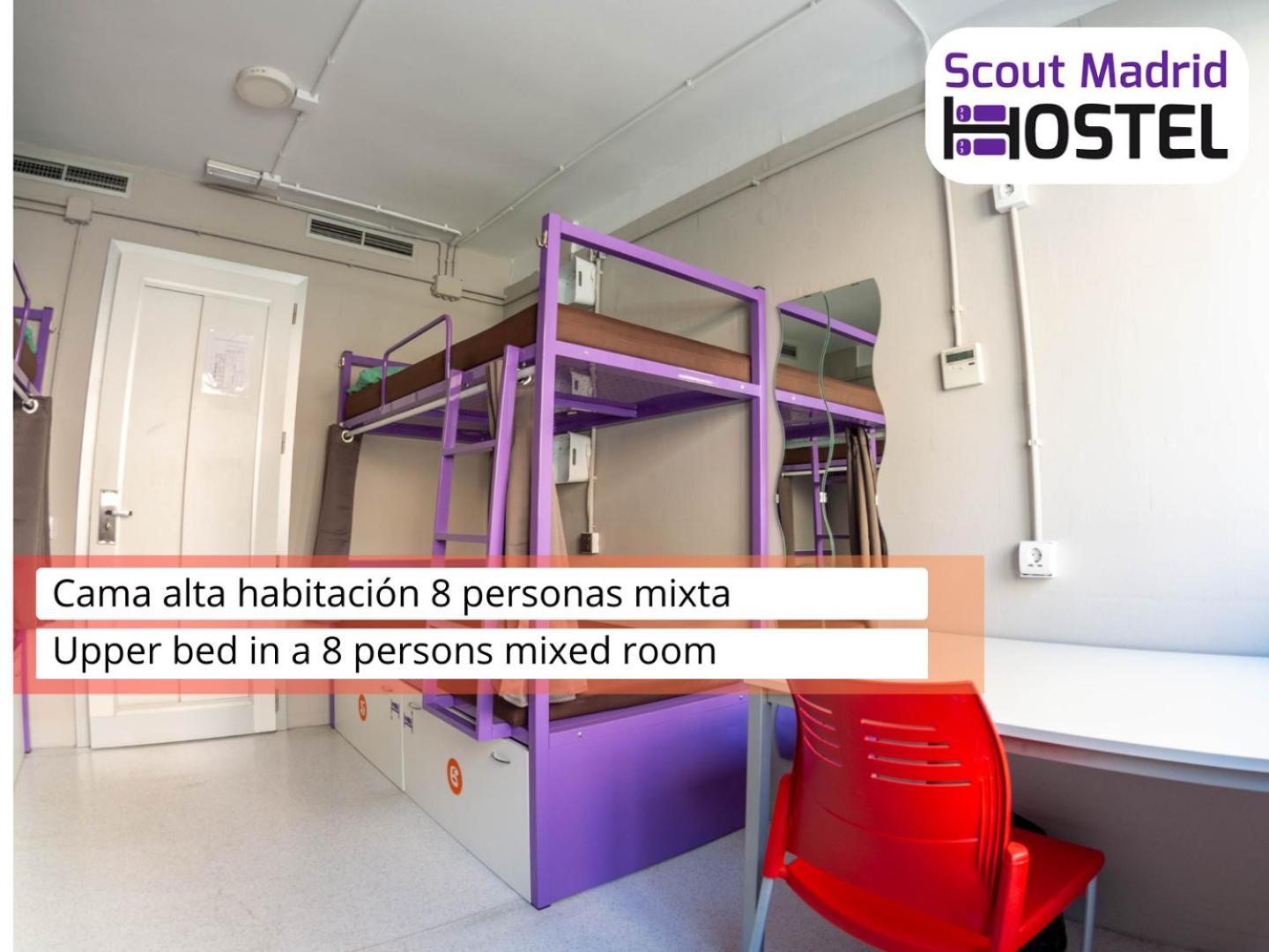 Scout Madrid