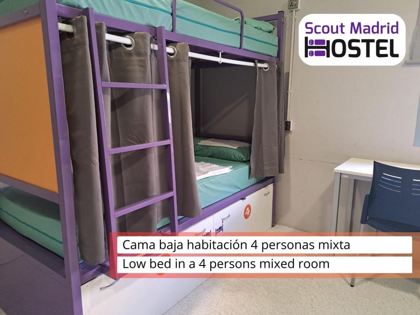 Scout *
