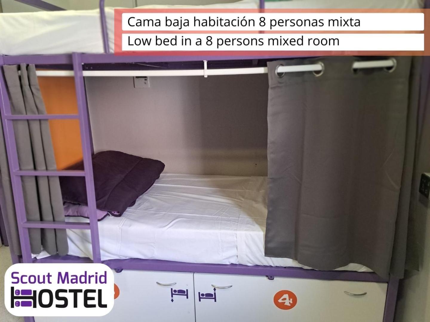 Scout Hostal Madrid