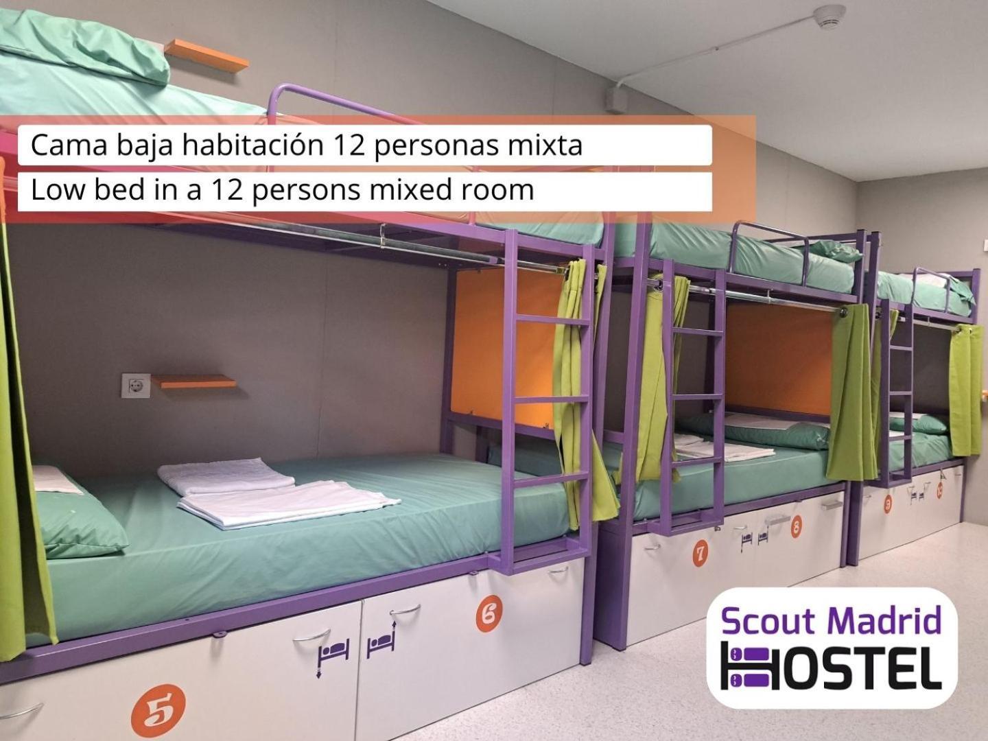 Scout Hostal *