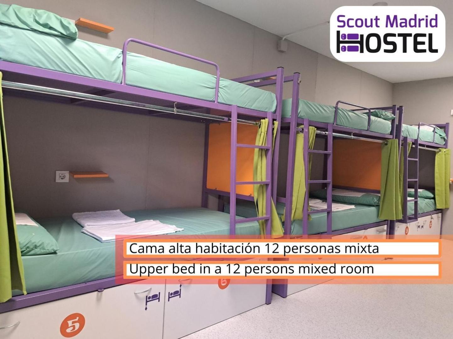 Scout