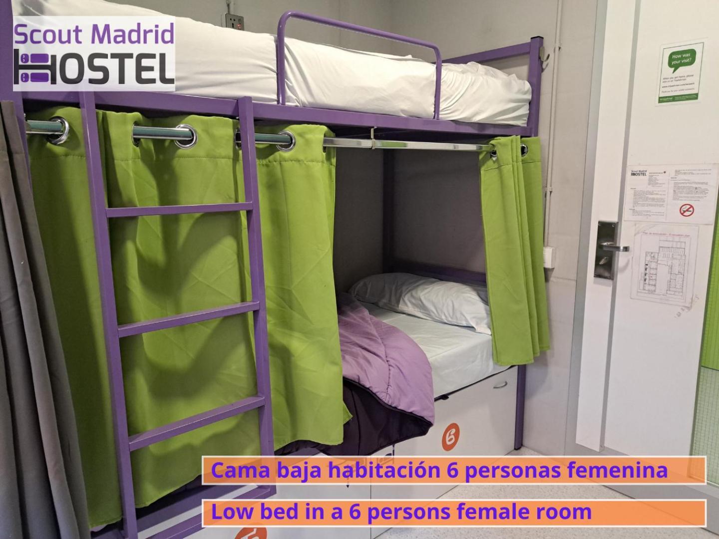 Hostal Scout