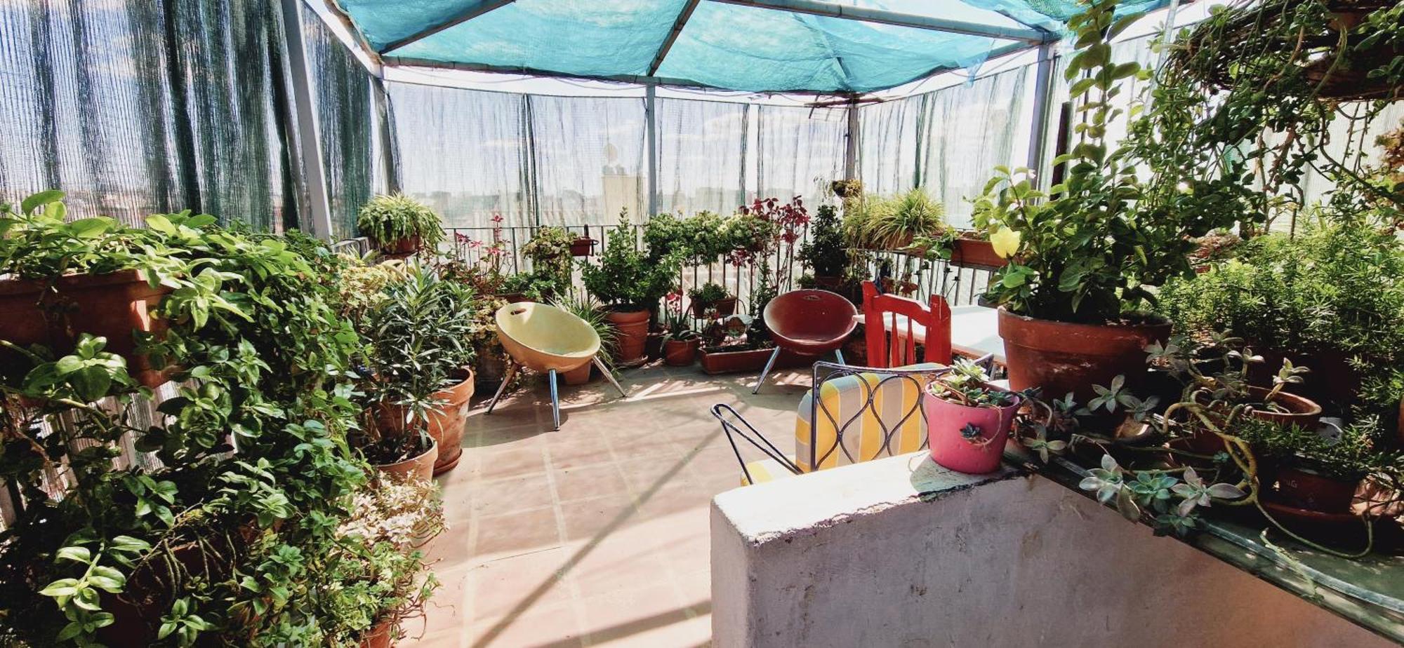 Pensión Casa De Huespedes Dolce