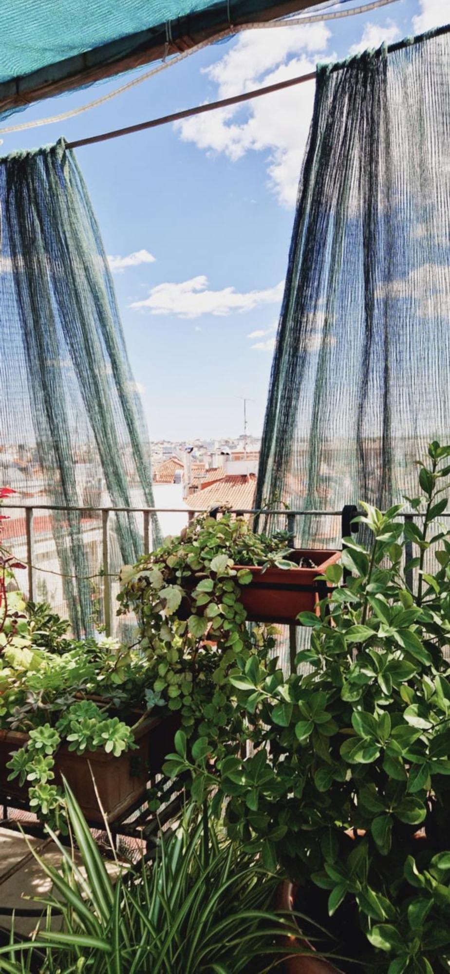 Pensión Casa De Huespedes Dolce