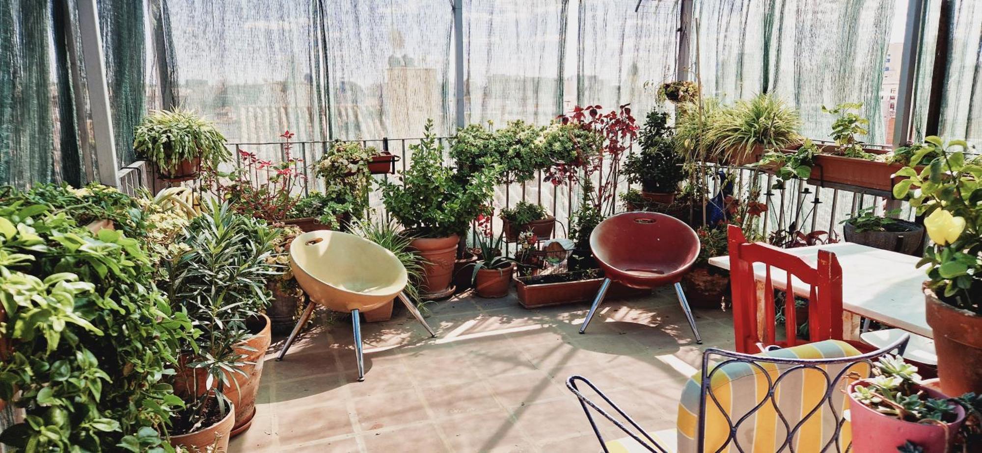 Casa De Huespedes Dolce Pensión