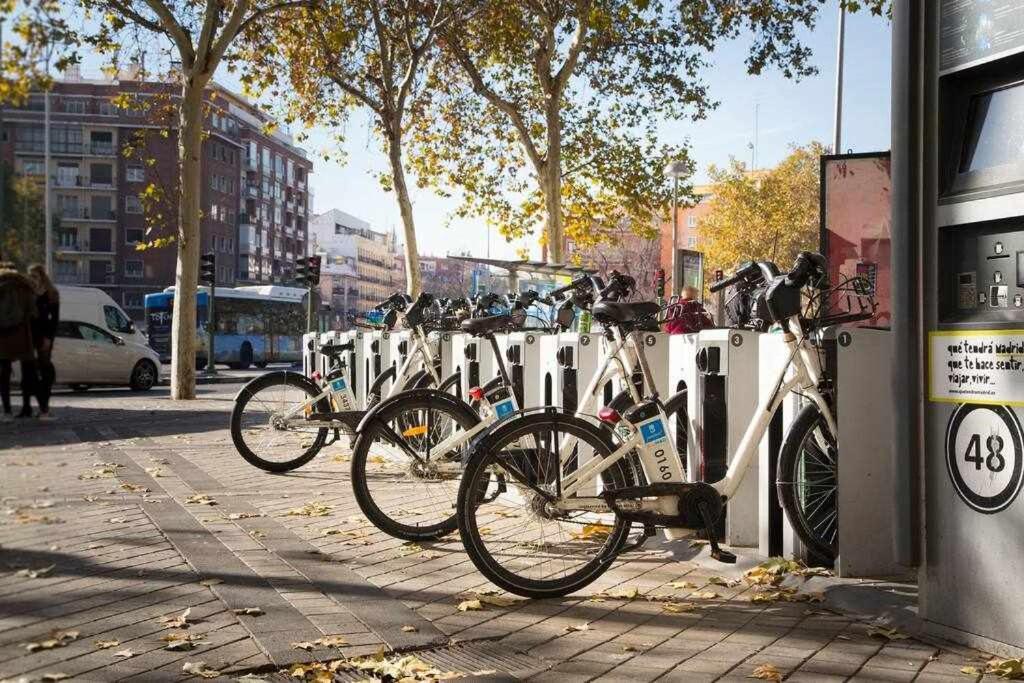 Solfai Vacacional 15 * Madrid
