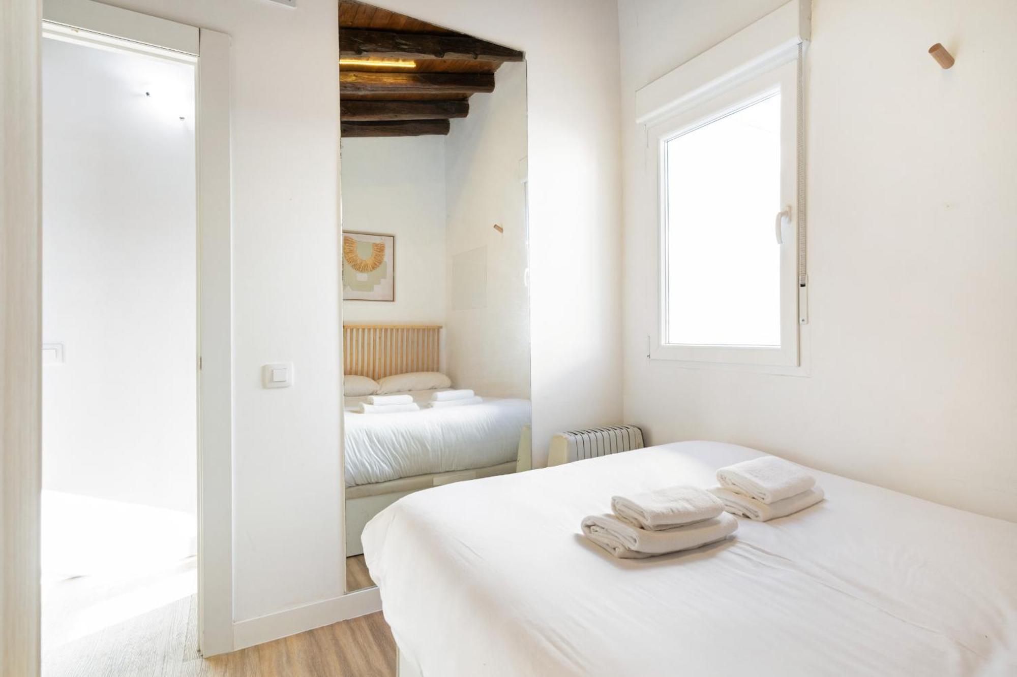 Atico Con Terraza En Lavapies Alquiler Temporal Apartamento Madrid