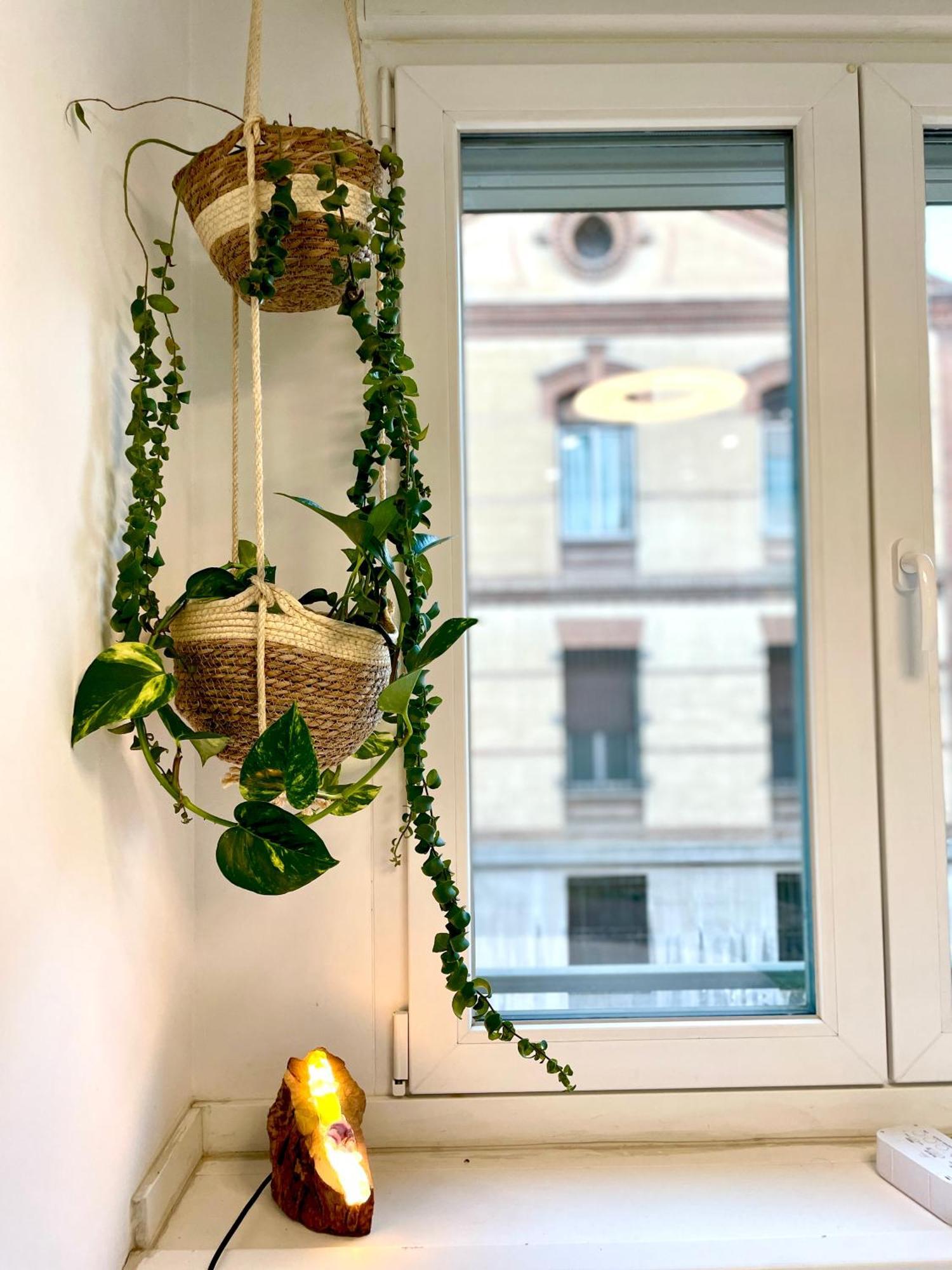 Comfort And Feeling Home_3 Bdrs+2bths+80m2 Terraze Apartamento *