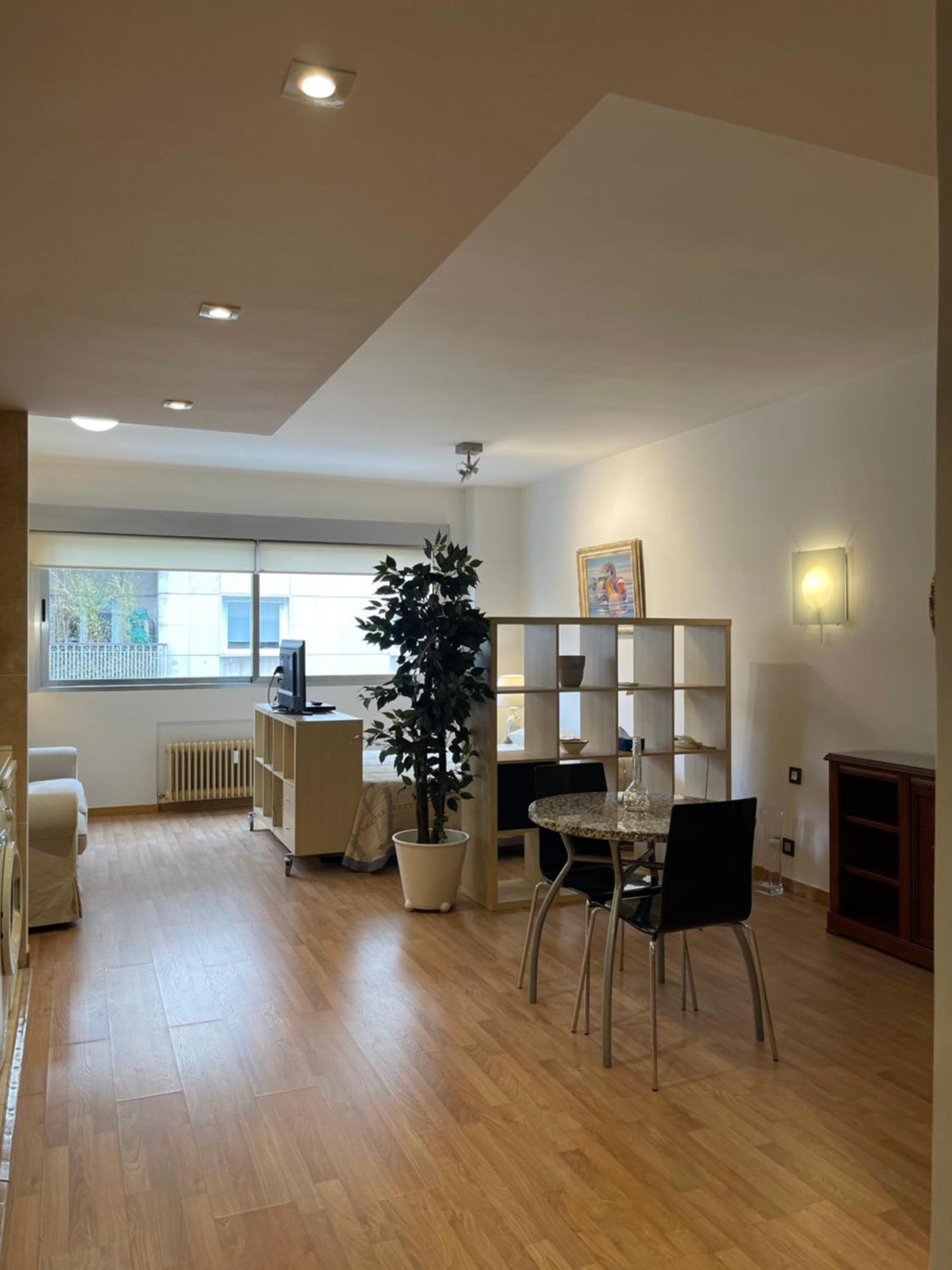 Apartment Bernabeu Loft Moderno