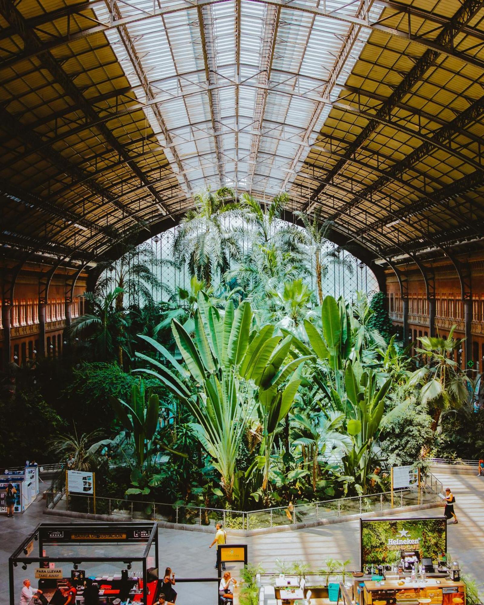 The Loft House Hostel Madrid