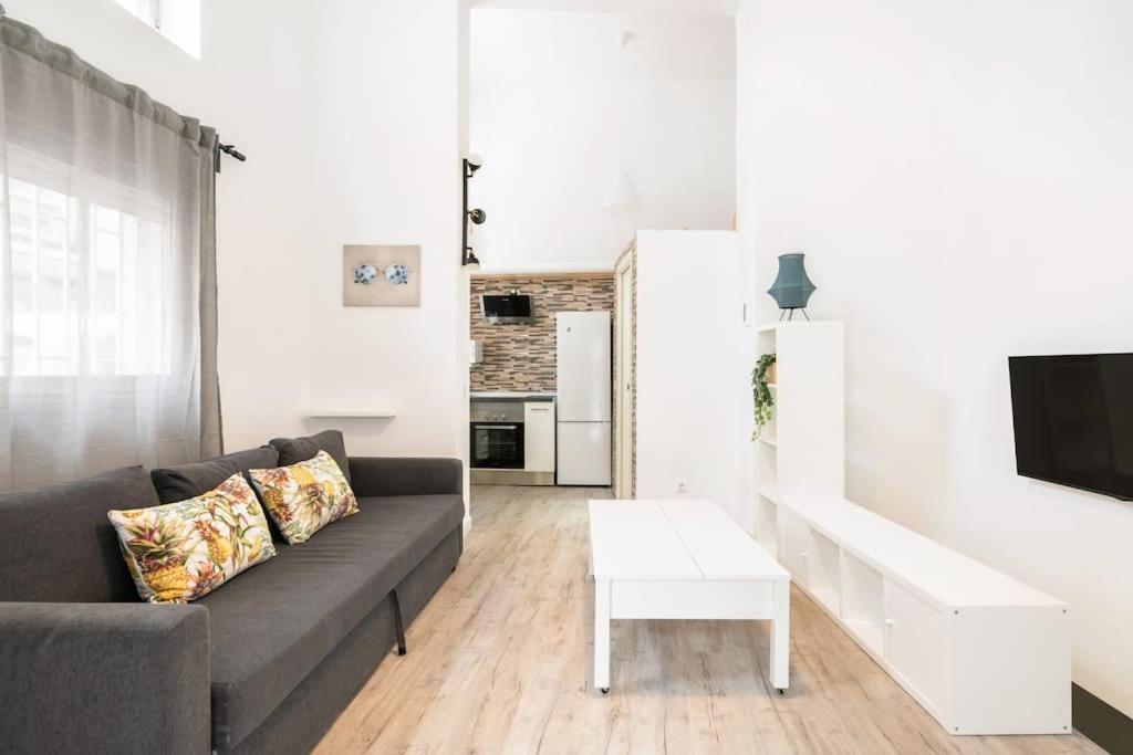 Apartamento Charming Flat In Madrid-rio Madrid