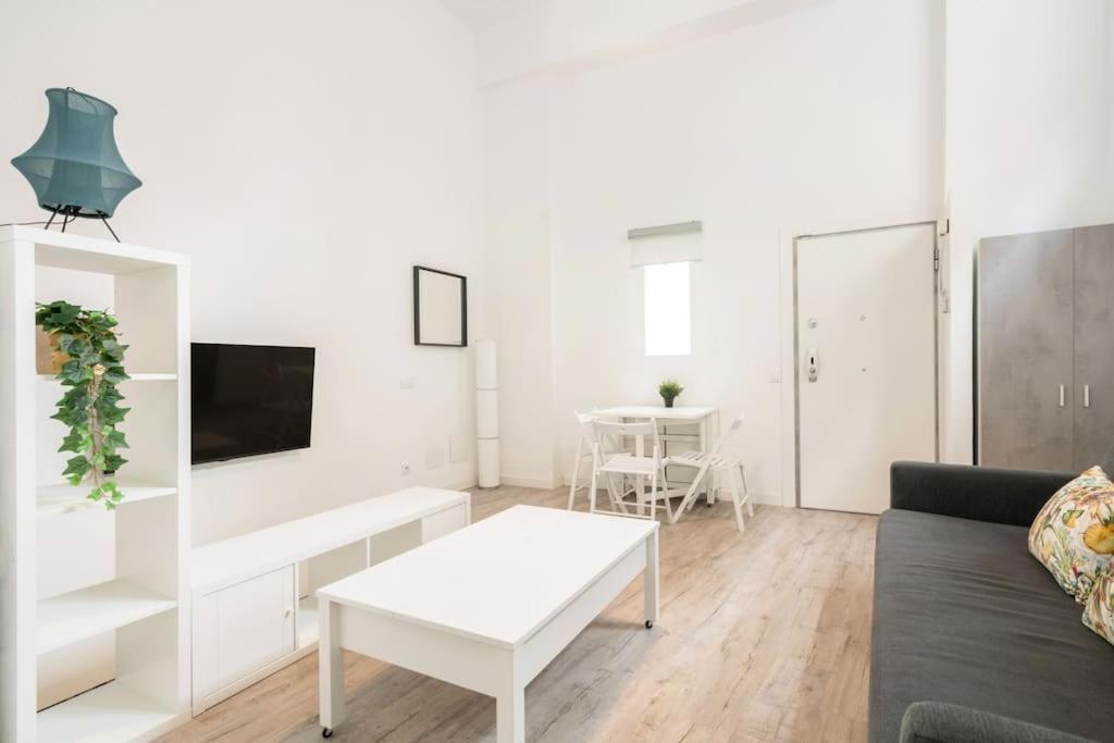 Charming Flat In Madrid-rio Madrid
