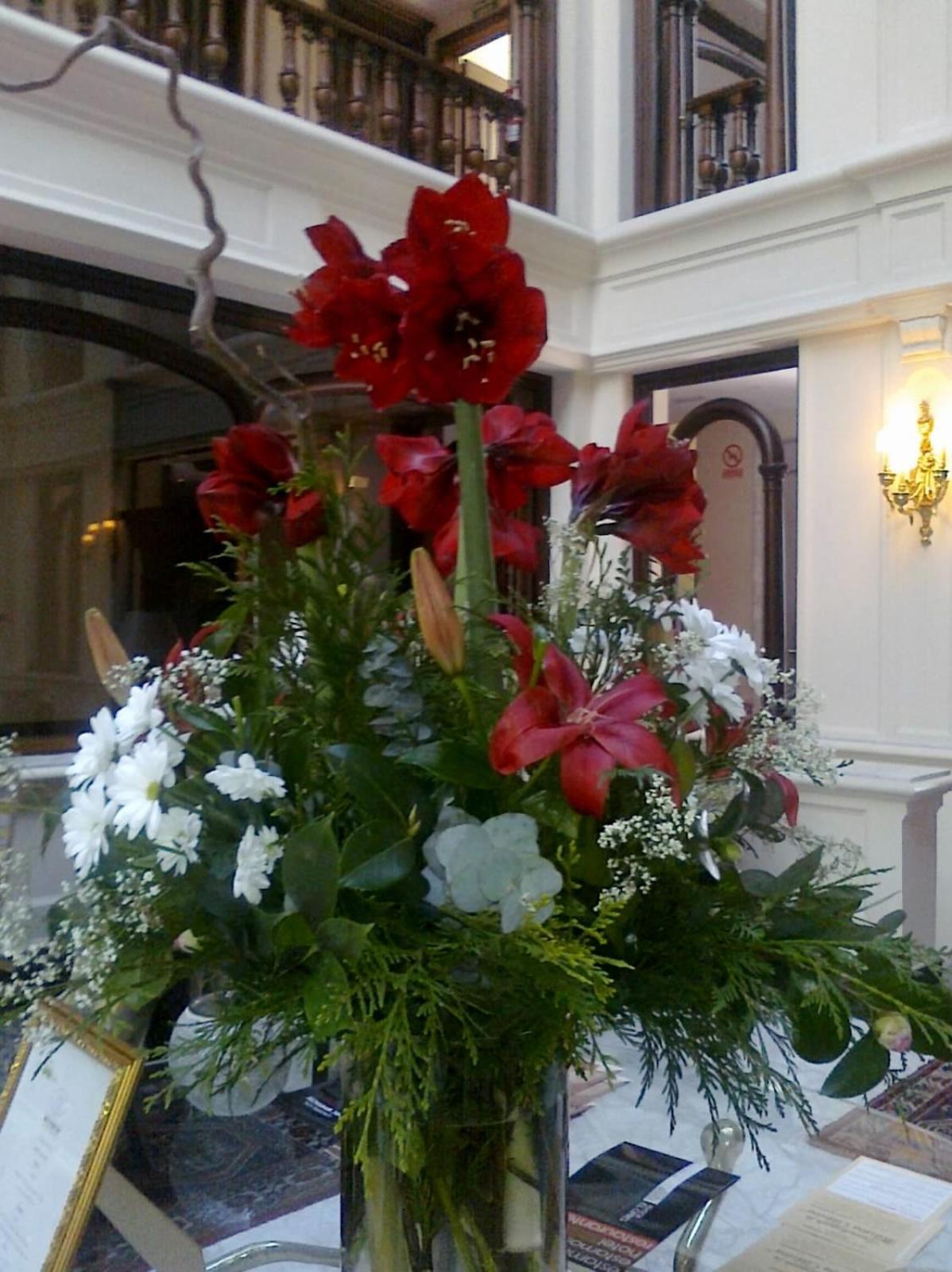 Hotel Don Pio 4*