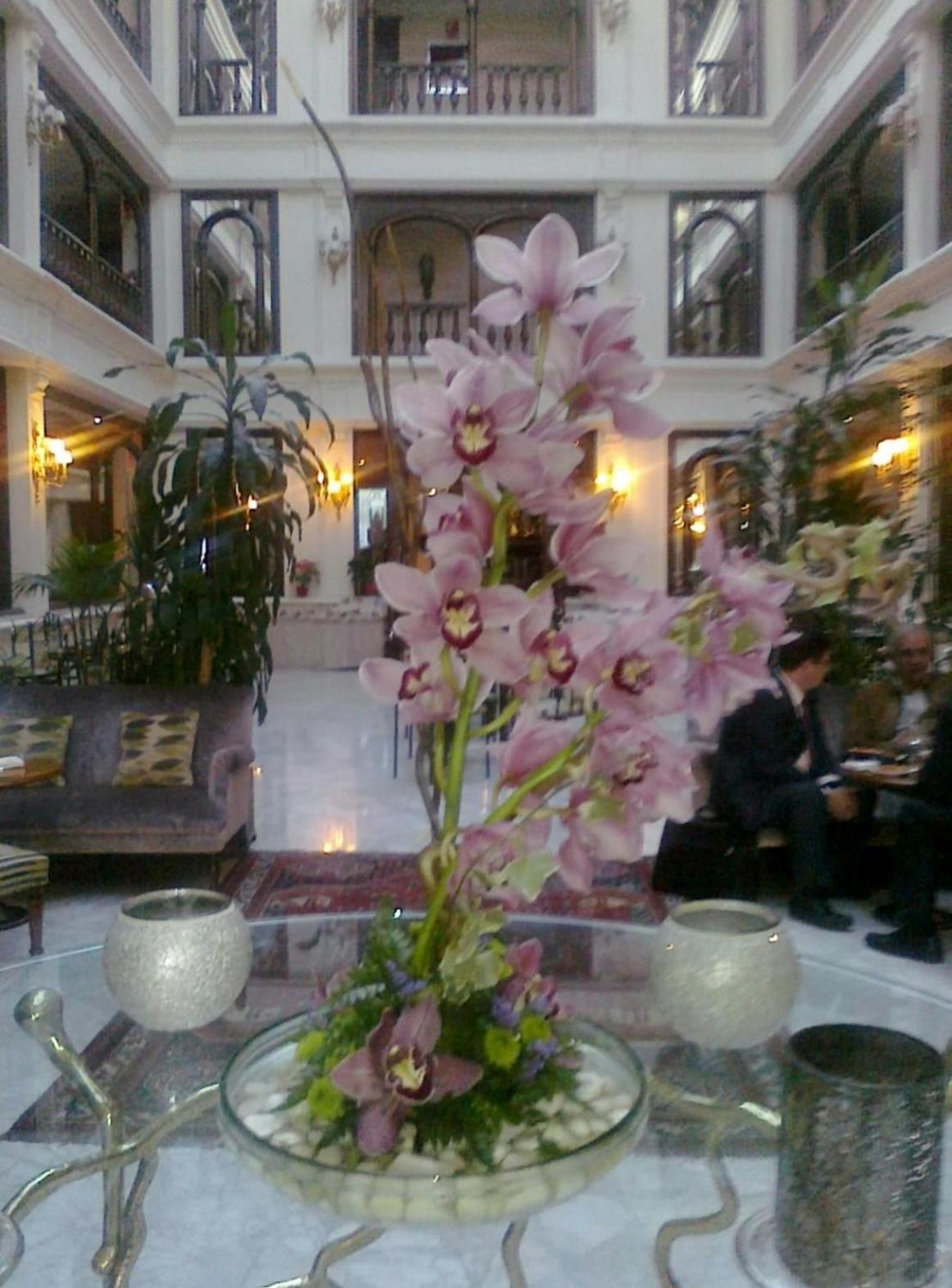 Hotel Don Pio