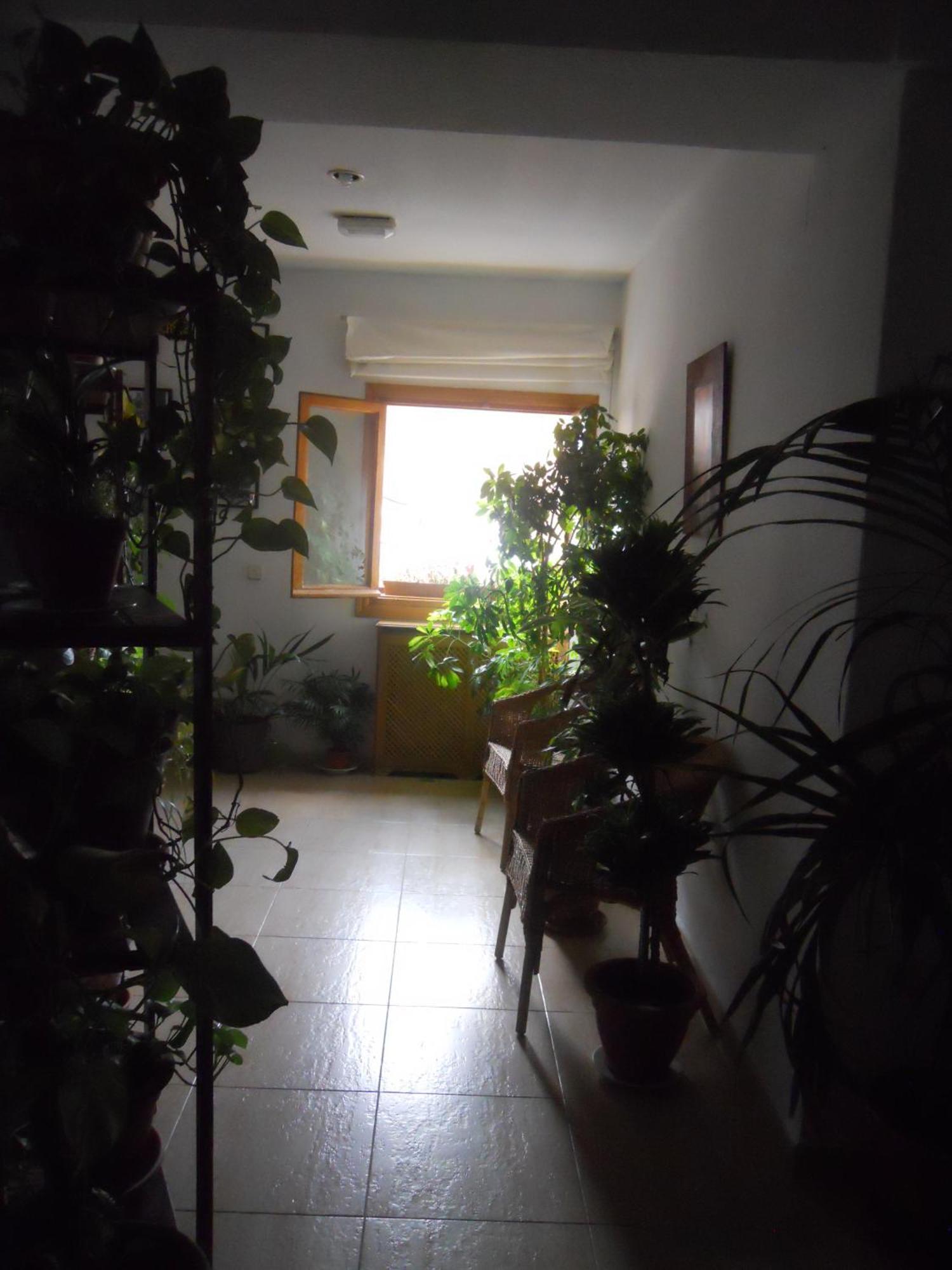 Guest house El Descanso