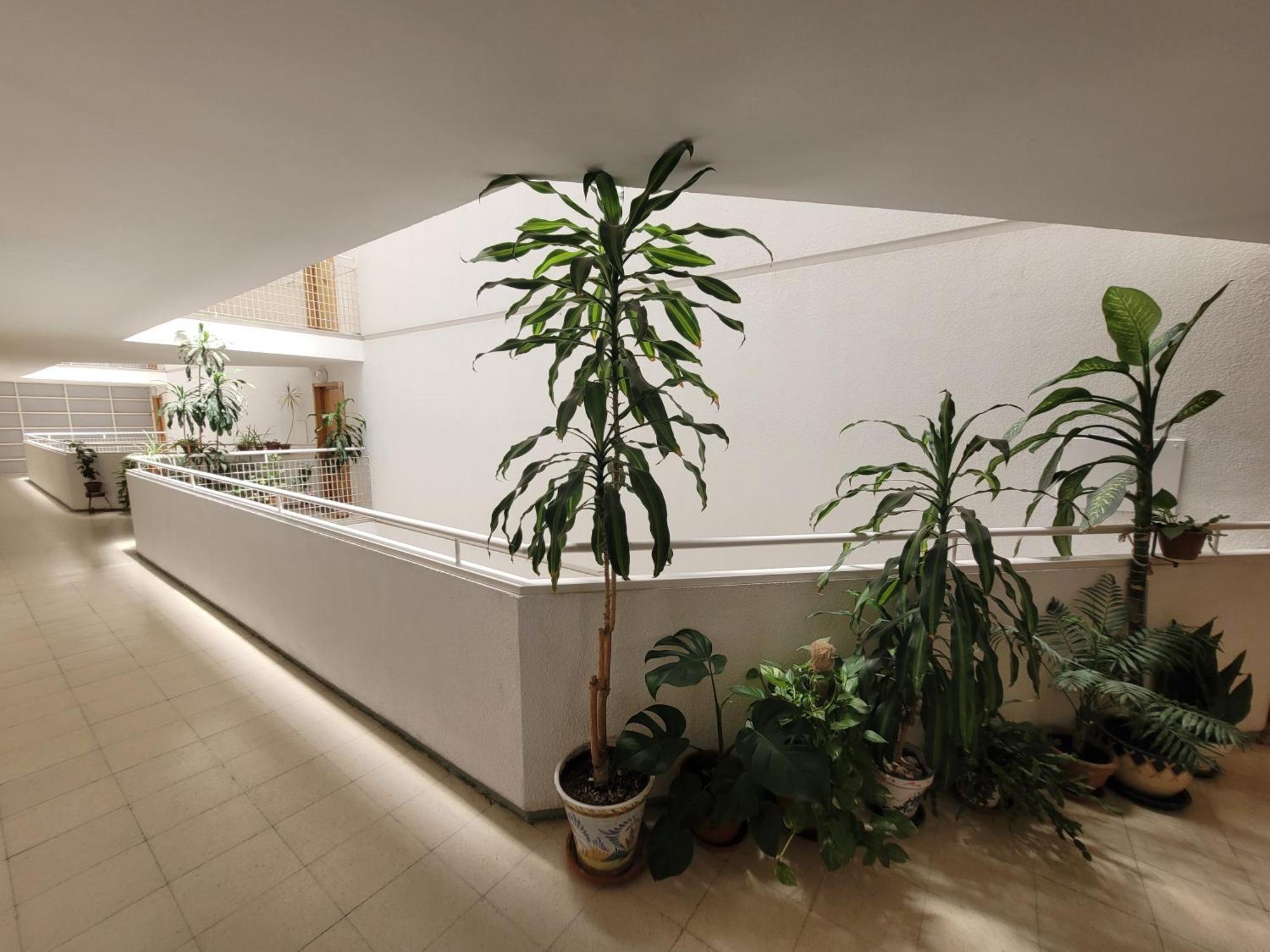 Bed & Breakfast Entero En Madrid, Con Acceso Privado *